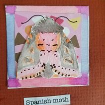 Moths of the Eastern United States. Un proyecto de Ilustración tradicional de amy_551166 - 16.01.2022