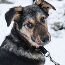 Tmind. Un proyecto de Música de Jyrki Hietala - 26.01.2022