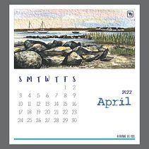 Calendars: Watercolors & Digital Illustrations. Un progetto di Illustrazione tradizionale, Pittura ad acquerello e Graphic design di Arianne - 29.01.2022