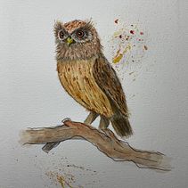 Mi Proyecto del curso: Ilustración naturalista de aves con acuarela. Un projet de Illustration traditionnelle, Aquarelle, Dessin réaliste et Illustration naturaliste de Andres Perez - 07.02.2022