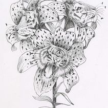 My project in Surrealistic Fineliner Illustration course . % Emily Whittingham tarafından hazırlanan Geleneksel illüstras, on, Kalem Çizimi, Çizim, Gerçekçi Çizim, Sanatsal Çizim, Mürekkep İllüstras, onu, Doğalcı İllüstras, Ve on projesi - 02.14.2022