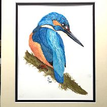 My project in Naturalist Bird Illustration with Watercolors course. Projekt z dziedziny Trad, c, jna ilustracja, Malowanie akwarelą, R, sunek realist, czn, Ilustracja naturalist i czna użytkownika Sue Kraft - 21.02.2022