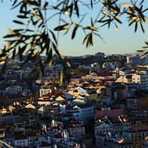Mi Proyecto del curso: Fotografía de paisaje y naturaleza Ein Projekt aus dem Bereich Fotografie, Außenfotografie, Fotografie für Instagram, Dokumentarfotografie und Fotografische Komposition von Josefina Andrea Pereira Barrera - 06.03.2022