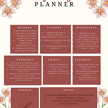 Bellatrix. Un projet de  de Anna Ceratti - 01.04.2022