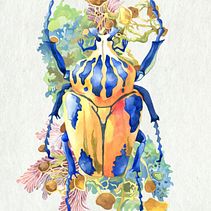 Entomology artworks . Traditional illustration, Watercolor Painting, Botanical Illustration, Naturalistic Illustration, Floral, Plant Design, Education, Fashion Design, Drawing, and Picturebook project by Helena Smyth - 04.13.2022