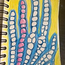 My project for course: Drawing for Beginners Level -1. Un projet de Dessin au cra, on, Dessin, Créativité avec les enfants , et Carnet de croquis de Aleksandra Więcka - 20.04.2022