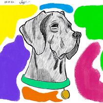 Dog and Color Ein Projekt aus dem Bereich Digitale Malerei und Traditionelle Illustration von Angelica H. - 03.04.2022