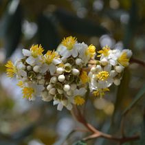 Proyecto Introducción a la fotografía digital: Jardín Botánico Bogotá. Photograph, and Digital Photograph project by Carlos Collazos - 02.22.2022