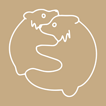 Portfolio 2022. Un proyecto de Ilustración tradicional, Fotografía, UX / UI, Diseño gráfico, Marketing, Diseño Web, Redes Sociales, Diseño de logotipos, Diseño de carteles, Pintura a la acuarela e Instagram de Morgane Bonhoure - 01.01.2022