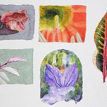 Estudios botánicos. Un proyecto de Ilustración tradicional, Pintura a la acuarela e Ilustración botánica de Aron Schultz - 03.06.2022