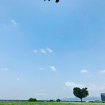 My project for course: Introduction to Voice-Over Narration . % Otto Ayala tarafından hazırlanan Film, Video ve TV, Film, İletişim, Ve Ses projesi - 06.07.2022