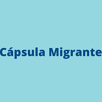 Cápsula Migrante, una app para migrantes informados. UX / UI, Information Design, Cop, writing, and App Design project by Héctor Villa León - 06.23.2022