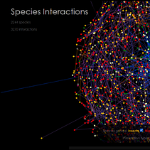 Biotic interactions. Projekt z dziedziny Web design i Projektowanie informacji użytkownika Anneke ter Schure - 29.01.2016