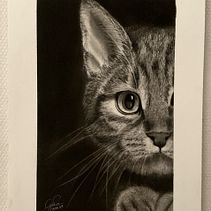 Behind the door . Un projet de Illustration traditionnelle de Gilda Pica - 12.08.2022