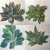 My project for course: Botanical Sketchbooking: A Meditative Approach. Ilustração tradicional, Esboçado, Desenho, Pintura em aquarela, Ilustração botânica, e Sketchbook projeto de Sabine Neumann - 17.08.2022