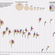 Mein Kursprojekt: Datenvisualisierung und Informationsdesign: Visualisierung des Städteranking 2021 der Schweiz. Un projet de Design de l'information, Design d'interaction et Infographie de Zeliya Schär - 04.09.2022