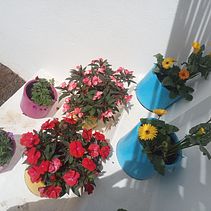 PATIO. Un projet de Architecture de William Salgado Buelvas - 09.09.2022