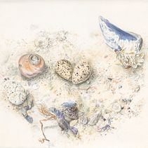 Nature Studies . % Samantha Black tarafından hazırlanan Geleneksel illüstras, Ve on projesi - 09.27.2022