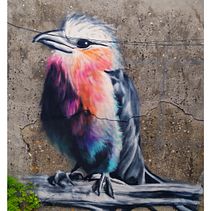 Mi proyecto del curso: Iniciación a la pintura con spray Ein Projekt aus dem Bereich Traditionelle Illustration, Bildende Künste, Malerei und Urban Art von Sara de Corio - 28.09.2022