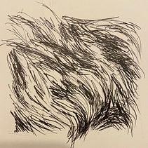 Practicing Pine cone scales and fur with ink and graphite. Traditional illustration project by Susan Sarabasha - 10.06.2022