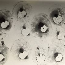 My project for course: Illustrating Nature: A Creative Exploration:An Owl!. Projekt z dziedziny Trad, c, jna ilustracja,  Malarstwo,  R, sunek, Malowanie akwarelą,  R, sunek atramentem, Ilustracja naturalist i czna użytkownika Paola - 30.11.2022