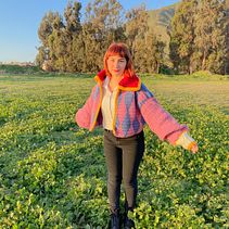 Mi proyecto del curso: Intarsia crochet: teje tus propios tapices. Projekt z dziedziny Projektowanie mod,  Dekoracja wnętrz,  Tkactwo, DIY, Sz, dełkowanie, Wzornictwo tekst i liów użytkownika Renata Díaz Luz - 23.12.2022