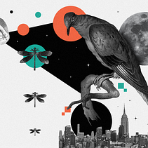 Martes, miércoles: Alejandra Puente. Graphic Design, Collage, Digital Illustration, and Editorial Illustration project by Alejandra García Puente - 01.04.2023