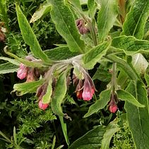 The SPARK - Children's Fantasy Novel Project. Un projet de Écriture de fiction , et Écriture créative de Claire - 07.01.2023