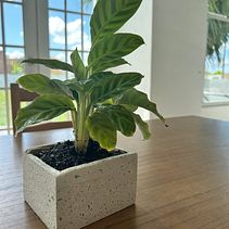 Mi proyecto del curso: Diseño y creación de muebles curvos en concreto. Arts, Crafts, Furniture Design, Making, Interior Design, Interior Decoration, and DIY project by Stephanie Cancel - 01.23.2023