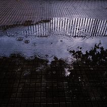 Personal blog. Photograph project by Julia Muñoz Ruiz - 02.23.2023