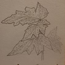 Estudos. Drawing, and Watercolor Painting project by Jason Santos - 02.26.2023