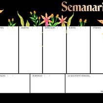 Mi proyecto del curso: Ilustración botánica con acuarela. Traditional illustration, Fine Arts, Painting, Drawing, Watercolor Painting, and Botanical Illustration project by Ossian Elien Mora - 02.27.2023