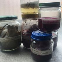 Mi proyecto del curso: Creación de acuarelas líquidas y tintas botánicas. Arts, Crafts, Fine Arts, Painting, Watercolor Painting, DIY, and Color Theor project by Silvino Gonzalez Morales - 03.20.2023