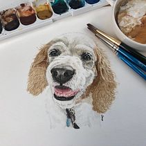 Watercolor pet portrait. Pintura, Desenho de retrato, Desenho realista, e Pintura em aquarela projeto de Candice To - 03.04.2023