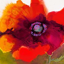 Big Splash of Poppy. Fine Arts project by Linda Naughton - 04.07.2023