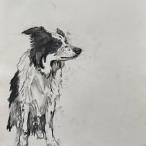 My project for course: Animal Illustration with Charcoal and Ink. Un proyecto de Bellas Artes, Dibujo, Ilustración con tinta e Ilustración naturalista				 de Lucy Breckenridge - 09.04.2023