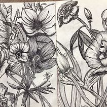 Mi proyecto del curso: Técnicas de ilustración para desbloquear tu creatividad . Design, Ilustrație tradițională, Arte plastice, Pictura, Creativitate, Crearea cu copiii și Caiet de schițe de Natalia - 04.12.2023