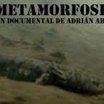 Documental "Metamorfosis" . % Adrián Arce Fernández tarafından hazırlanan Film, Video ve TV projesi - 06.27.2016