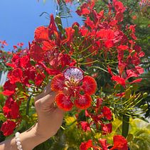 Mi proyecto del curso: Bordado stumpwork: crea adornos en 3D. Un proyecto de Diseño de jo, as, Bordado y Diseño textil de Teresa Martínez - 04.06.2023