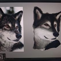 Ilustraciones. Un proyecto de Ilustración tradicional de Franco Loyola Vazquez - 30.07.2023