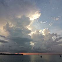 hay mama . Design, Publicidade, e Fotografia projeto de sector96_9 - 08.08.2023