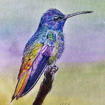 Mi proyecto del curso: Retratos de Mascotas en Lápices de Colores . Ilustrație tradițională & Ilustrație naturalistă de Alessandro GR - 08.20.2023