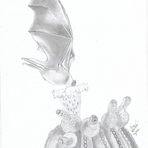 Minhas primeiras ilustrações biológicas . % Elice Garcia Manhães Viana tarafından hazırlanan Geleneksel illüstras, on, Kalem Çizimi, Botanik İllüstras, Ve on projesi - 09.09.2023