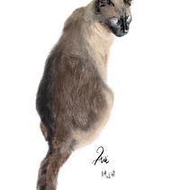 ARI - procreate 1er trabajo. Un proyecto de Ilustración digital e Ilustración tradicional de Michel Loyer - 21.10.2023