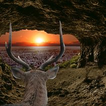 Anochecer . Un proyecto de Fotografía, Post-producción fotográfica		, VFX, Retoque fotográfico, Fotografía artística, Composición fotográfica y Fotomontaje de Javier Julián - 11.01.2024