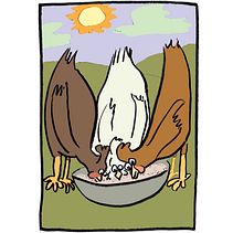 Berky Boing Boing and the Frenchman. Un projet de Illustration jeunesse de Andy Norton - 26.09.2017