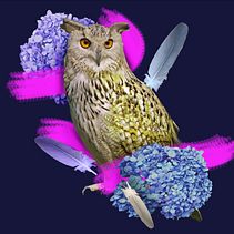 Freedom, Empatiness & Life OWN . Pattern Design, Fashion Design, and Printing project by Kacper Ciesielski - 01.25.2024