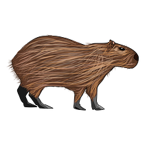 AlbertoLicCom. Un progetto di Motion graphics di Mariano Alberto Fadel - 28.01.2024