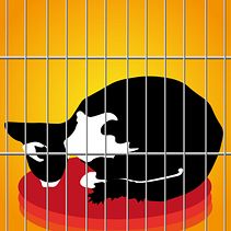 Michi . Traditional illustration project by Smeider Cadena - 02.01.2024