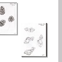 Meu projeto do curso: Diário ilustrado: preencha seu sketchbook com experiências Ein Projekt aus dem Bereich Traditionelle Illustration, Skizzenentwurf, Zeichnung, Sketchbook und Illustration mit Tinte von Isabel Valfigueira - 11.02.2024